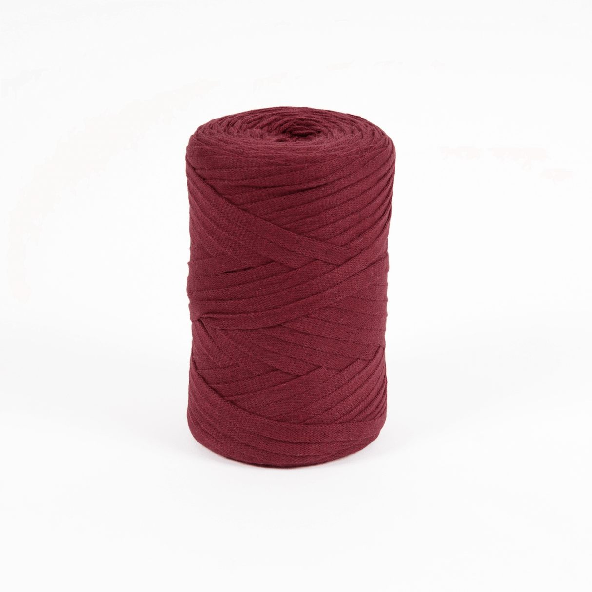 DMC Eco Vita Tape Yarn 250g