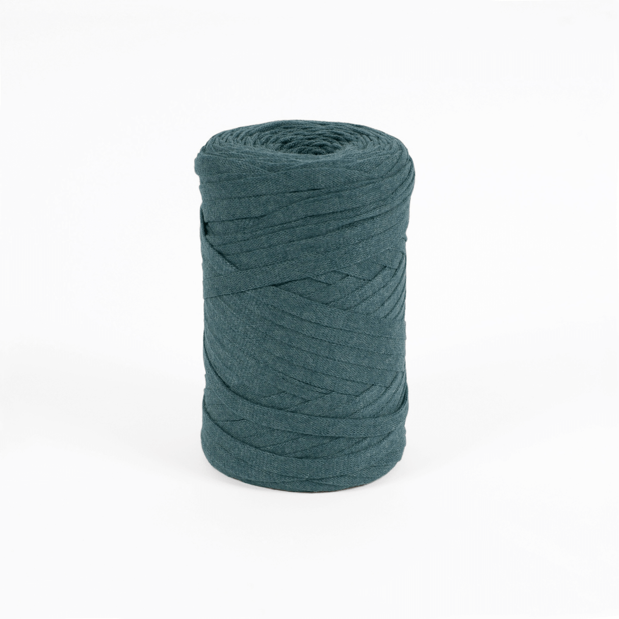 DMC Eco Vita Tape Yarn 250g