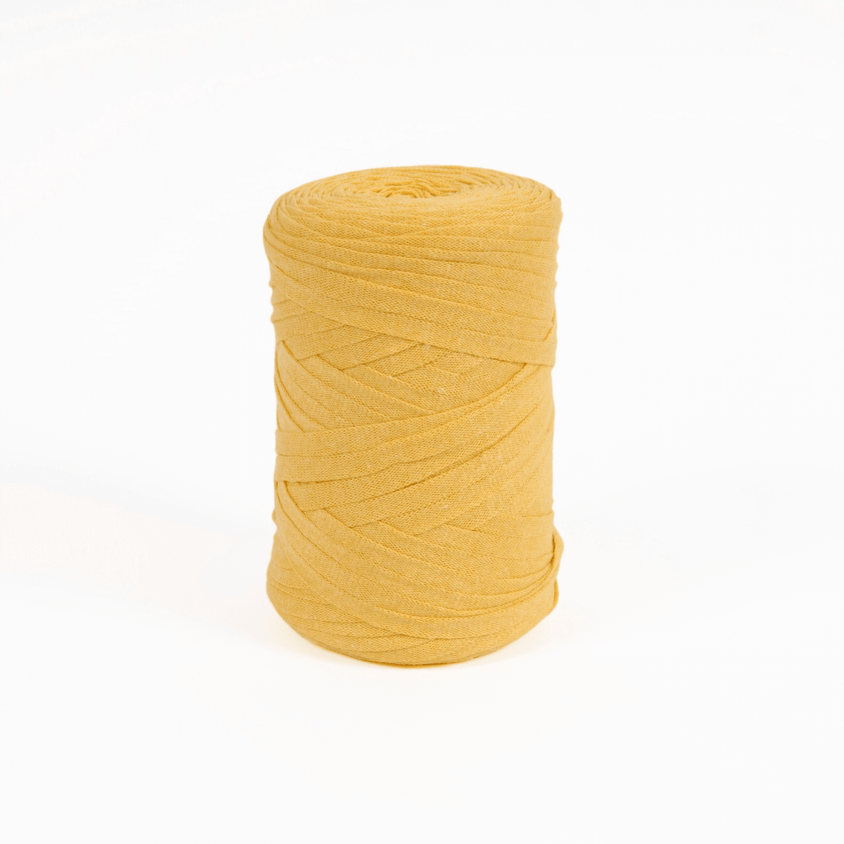 DMC Eco Vita Tape Yarn 250g