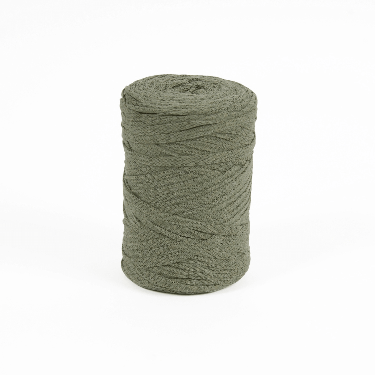 DMC Eco Vita Tape Yarn 250g