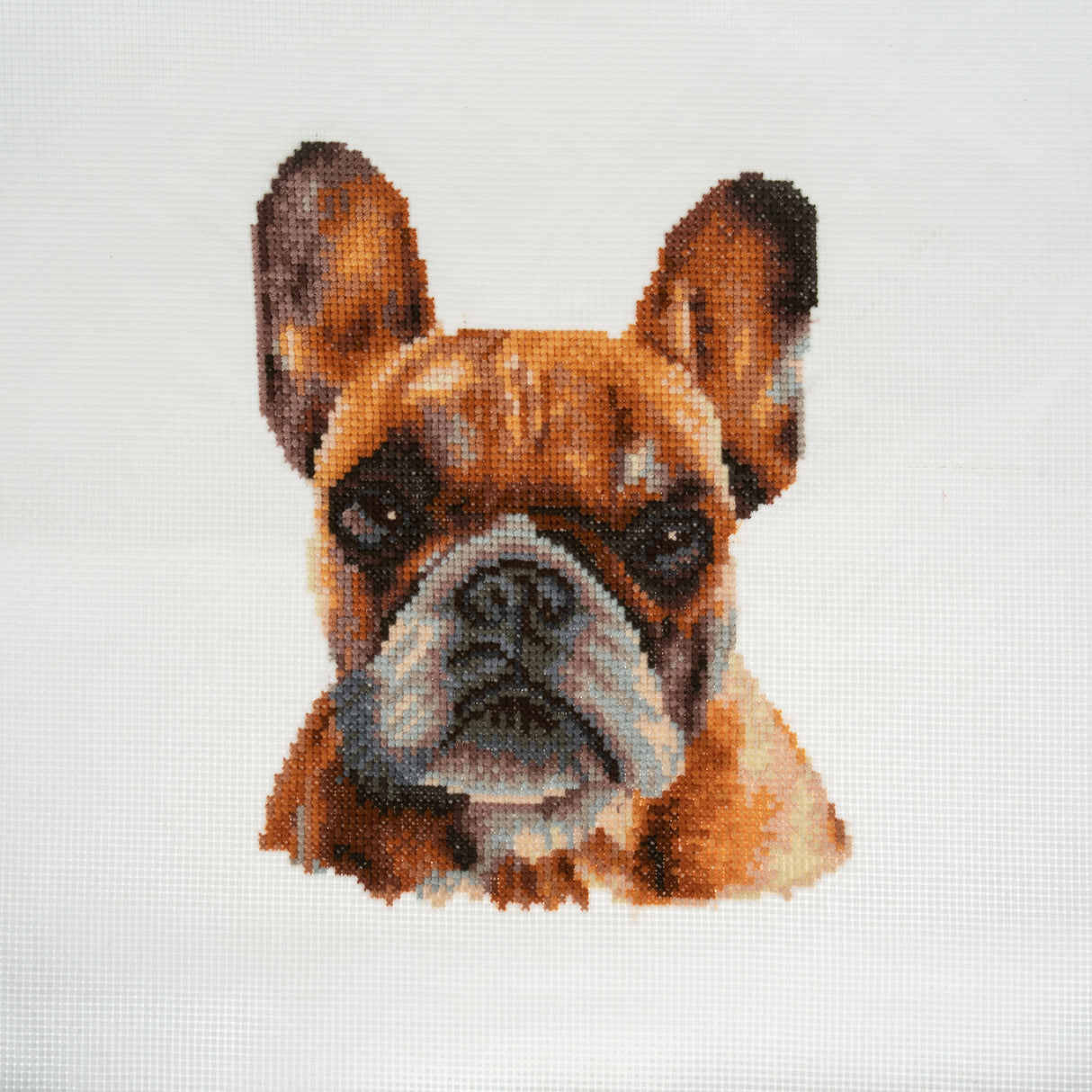 Trimits Counted Cross Stitch Kit - French Bulldog 36 x 36cm
