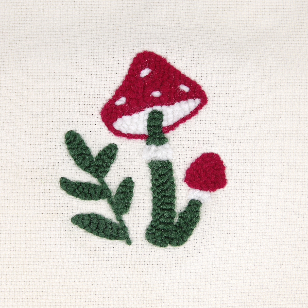 DMC Punch Needle Learning Kit