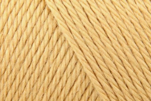 Caron Simply Soft Aran 170g