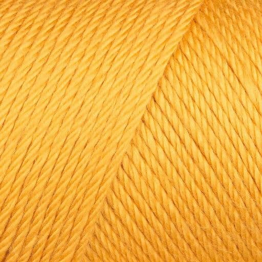 Caron Simply Soft Aran 170g