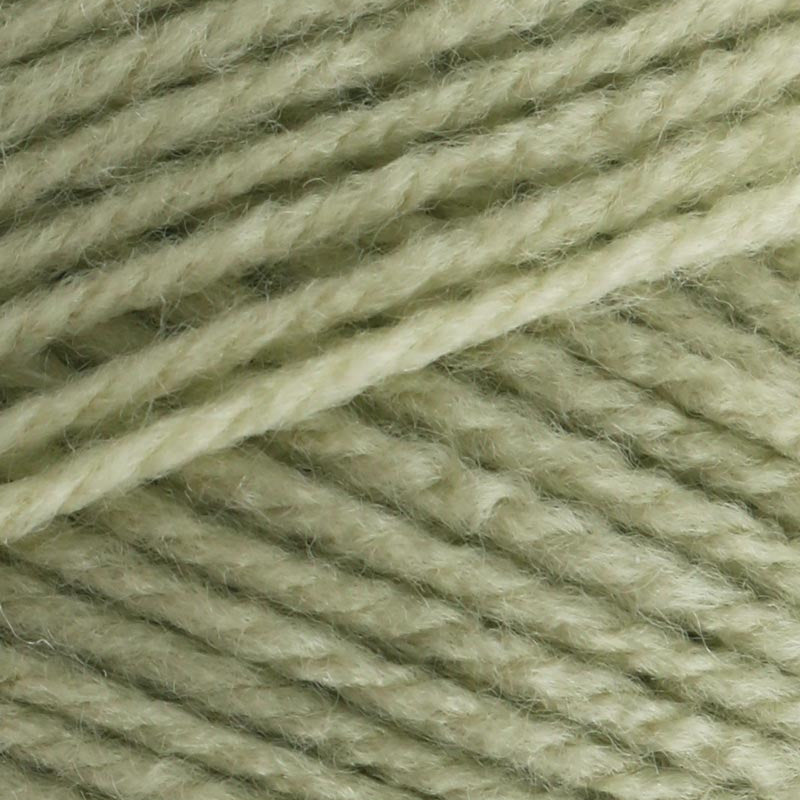 Stylecraft Special DK 100g