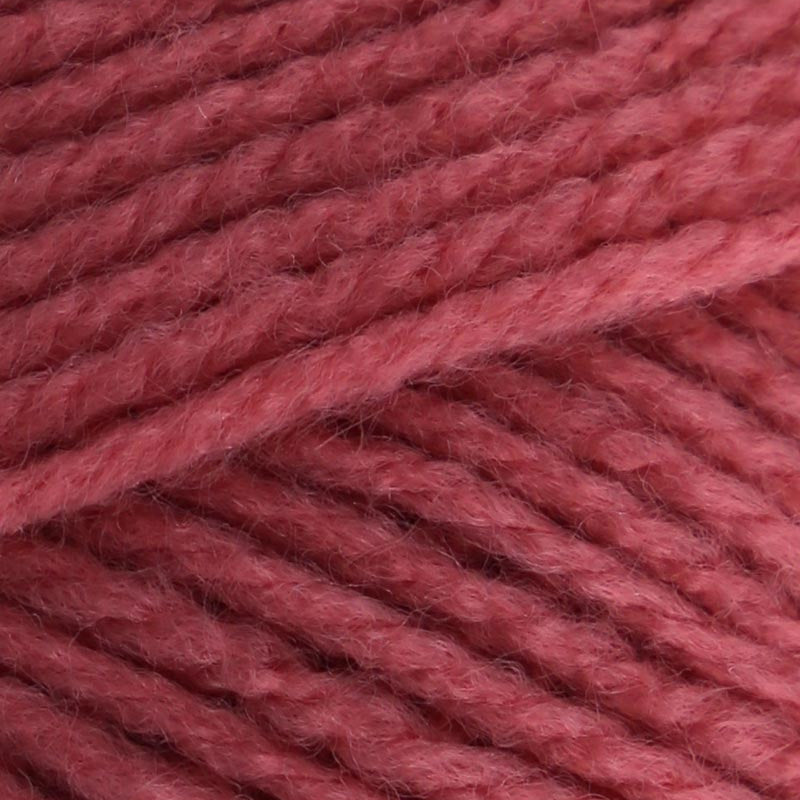 Stylecraft Special DK 100g