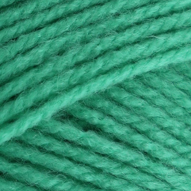 Stylecraft Special DK 100g