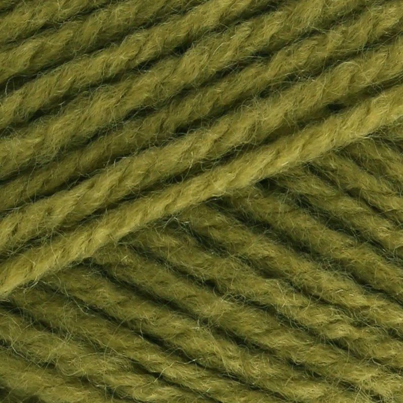 Stylecraft Special DK 100g