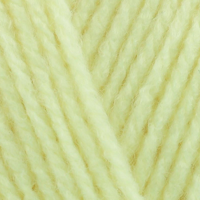 Stylecraft Special DK 100g