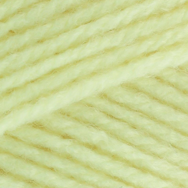 Stylecraft Special DK 100g