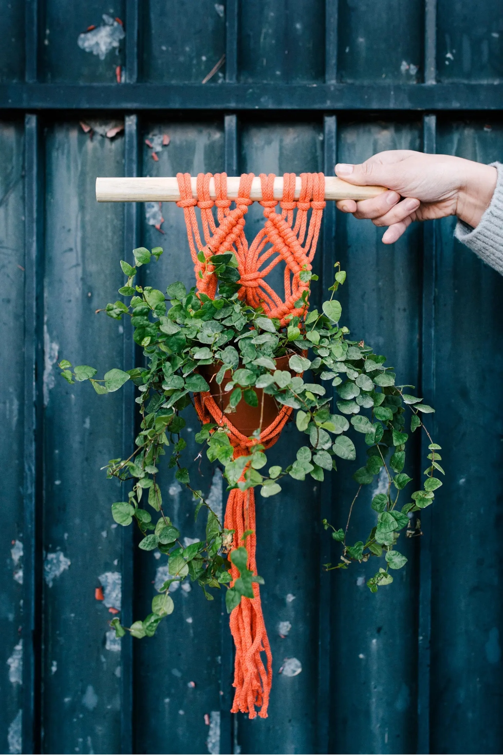 DMC Nova/Eco Vita Recycled Cotton Pattern Book - 15730