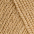 5 x 100g Stylecraft Special DK