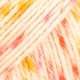 Drops Fiesta DK 50g