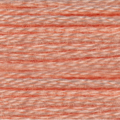 DMC Mouline Special 6 Strand Cotton Thread 334 - 718