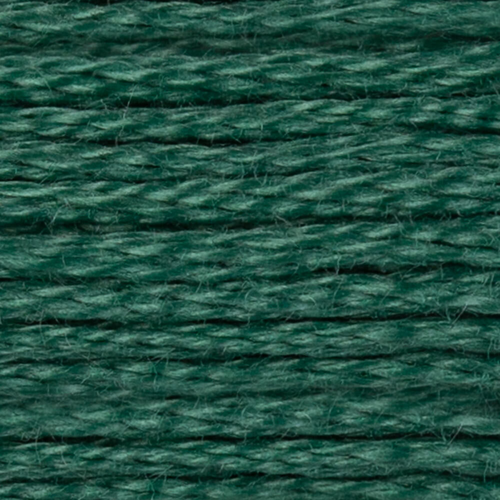 DMC Mouline Special 6 Strand Cotton - 3815