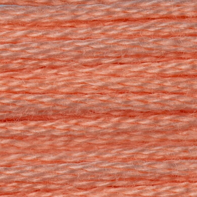 DMC Mouline Special 6 Strand Cotton - 3824