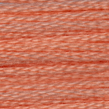 DMC Mouline Special 6 Strand Cotton - 3824