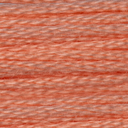 DMC Mouline Special 6 Strand Cotton - 3824