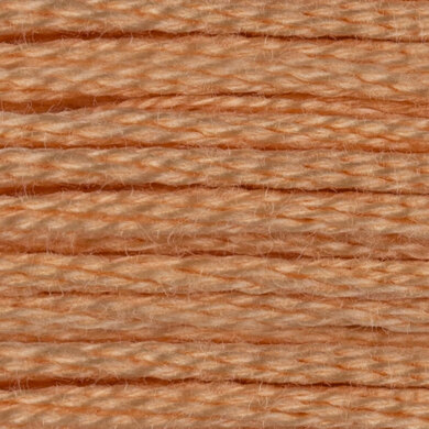 DMC Mouline Special 6 Strand Cotton - 3856