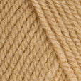 5 x 100g Stylecraft Special Aran