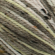 King Cole Homespun Prism Aran 50g