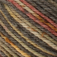 King Cole Homespun Prism Aran 50g
