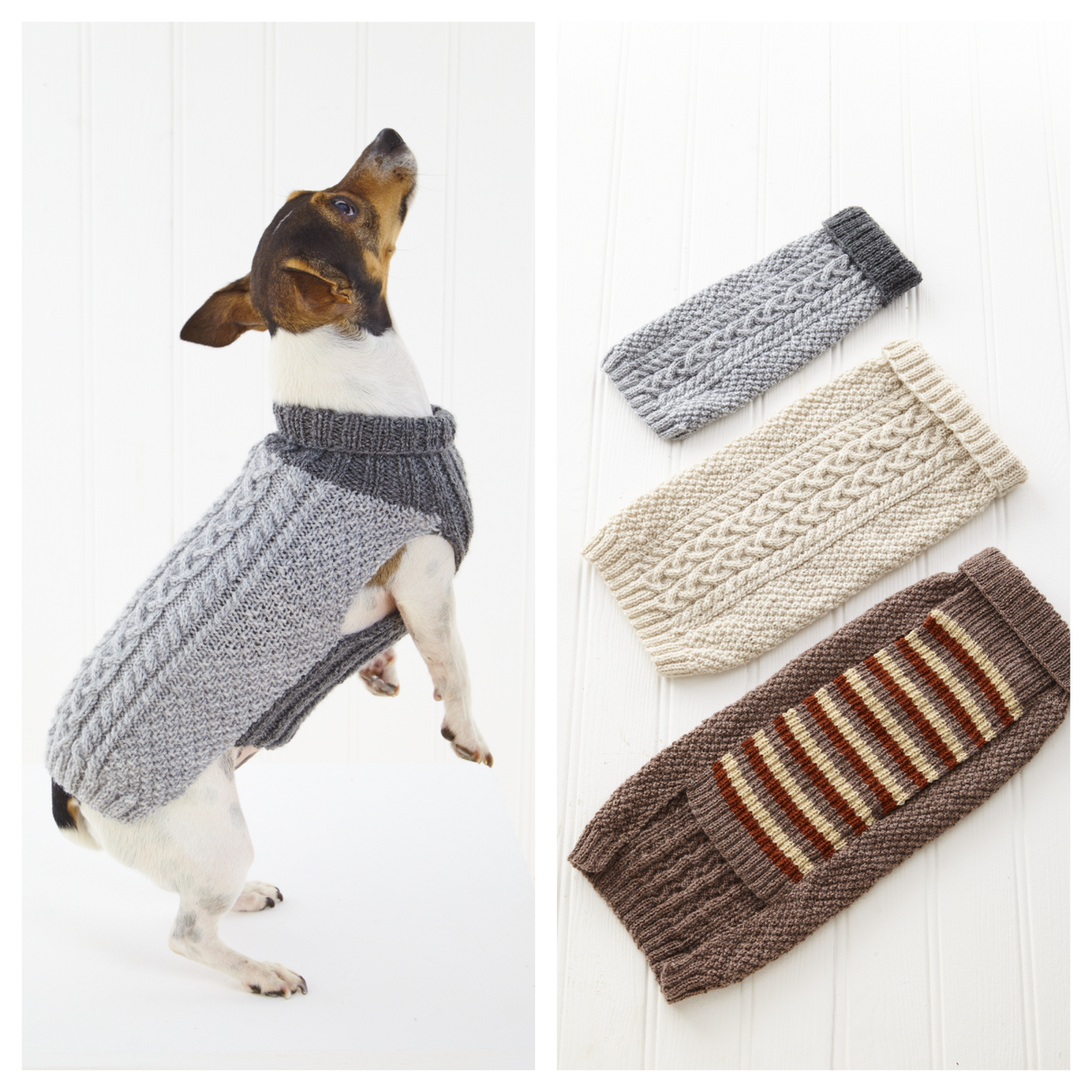 King Cole Pricewise DK Dogs Coats Pattern 6467