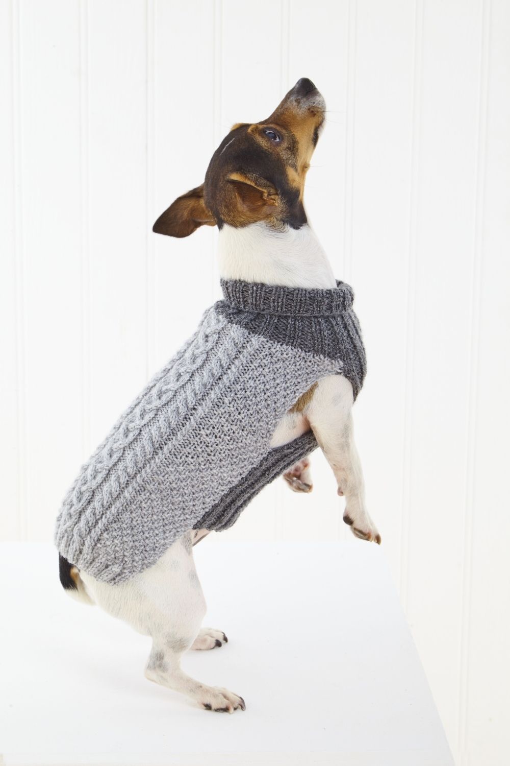 King Cole Pricewise DK Dogs Coats Pattern 6467
