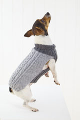 King Cole Pricewise DK Dogs Coats Pattern 6467