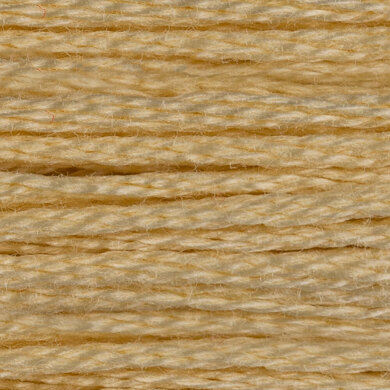 DMC Mouline Special 6 Strand Cotton Thread 334 - 718