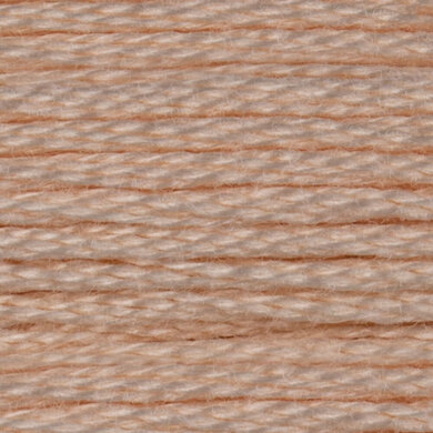 DMC Mouline Special 6 Strand Cotton Thread 921 - 3722