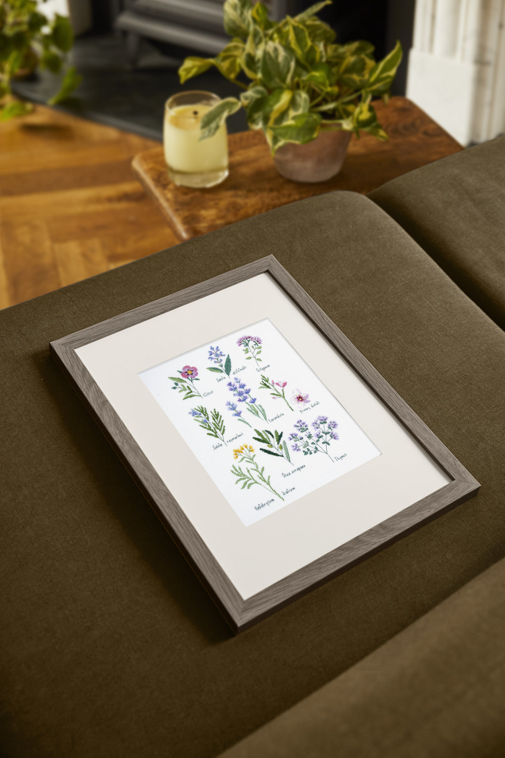 DMC Cross Stitch Kit Herbs Sampler by Nathalie Weinzaepflen