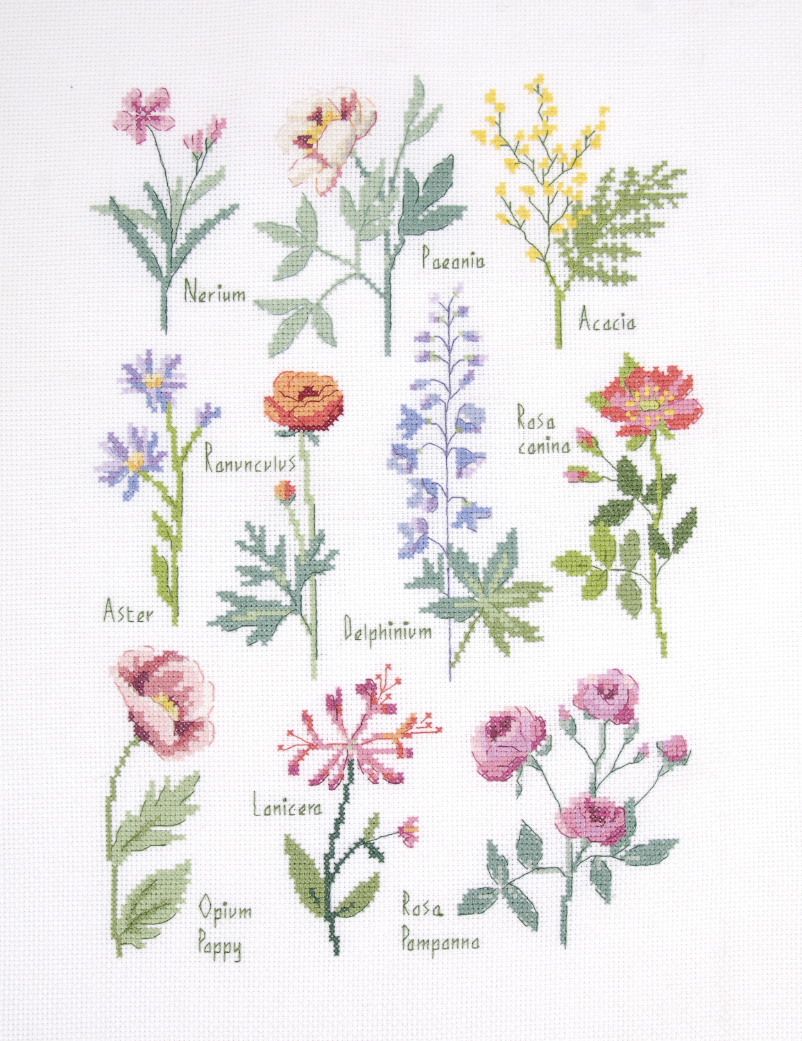 DMC Cross Stitch Kit Botanical Sampler by Nathalie Weinzaepflen