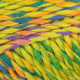 Stylecraft That Colour Vibe Chunky 100g