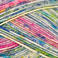 Stylecraft Colour Burst DK 100g
