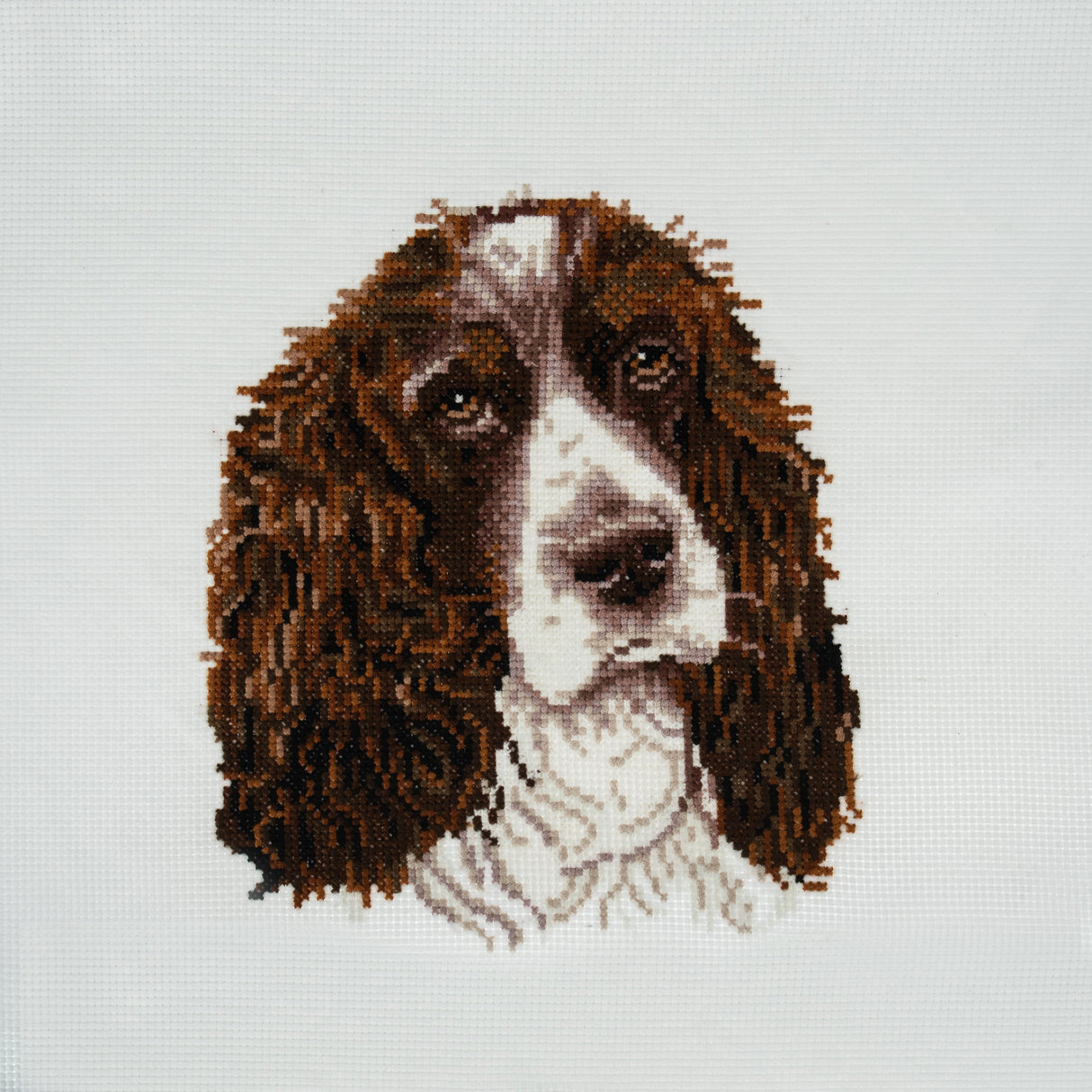 Trimits Counted Cross Stitch Kit - Springer Spaniel 36 x 36cm