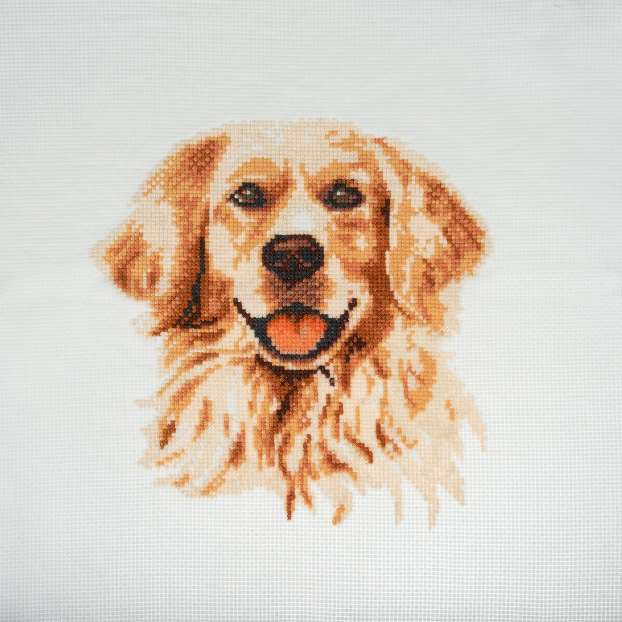 Trimits Counted Cross Stitch Kit - Golden Lab Retriever 36 x 36cm