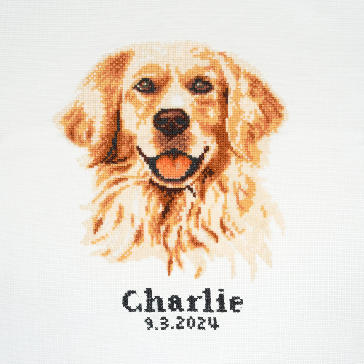 Trimits Counted Cross Stitch Kit - Golden Lab Retriever 36 x 36cm