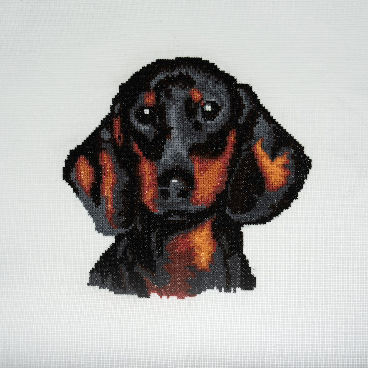 Trimits Counted Cross Stitch Kit - Dachshund 36 x 36cm