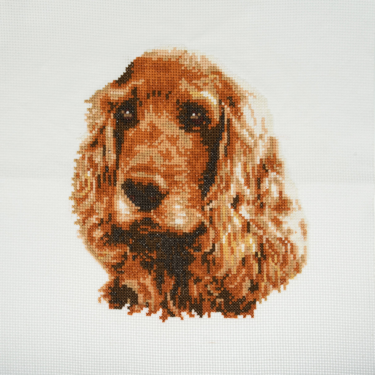 Trimits Counted Cross Stitch Kit -  Cocker Spaniel 36 x 36cm