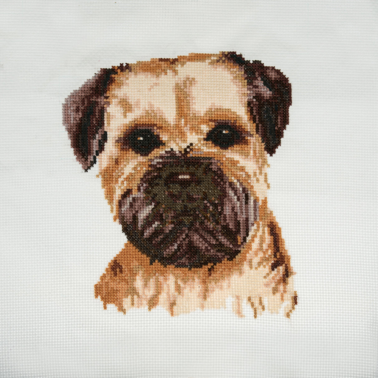 Trimits Counted Cross Stitch Kit - Border Terrier 36 x 36cm