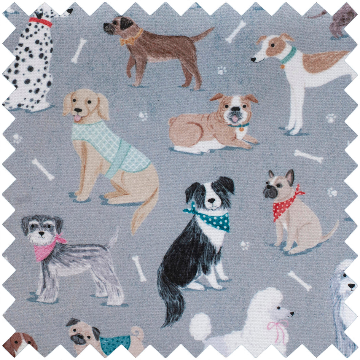 Hobbygift Knitting Needle Case [Dog]