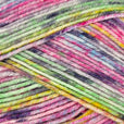 Stylecraft Colour Burst DK 100g