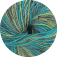 King Cole Homespun Prism DK 50g