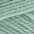 Stylecraft Special Aran with Wool 400g