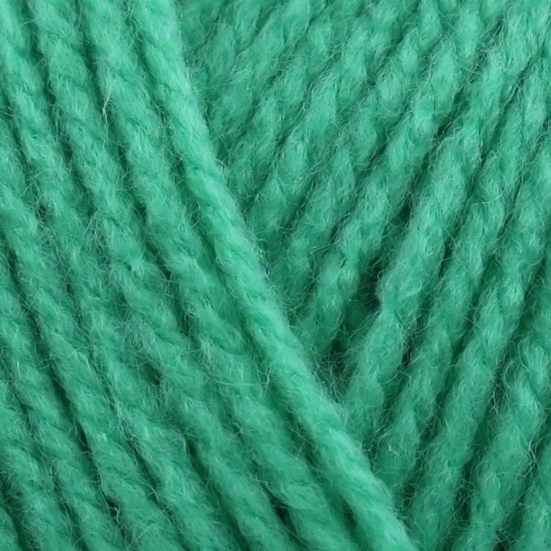 Stylecraft Special DK 100g - New Shades