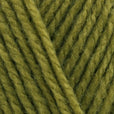 Stylecraft Special DK 100g - New Shades