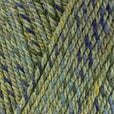 Stylecraft Colour Twist DK 100g