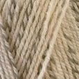 Stylecraft Colour Twist DK 100g