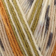 Stylecraft Head Over Heels 4 Ply 100g - Walking in Nature